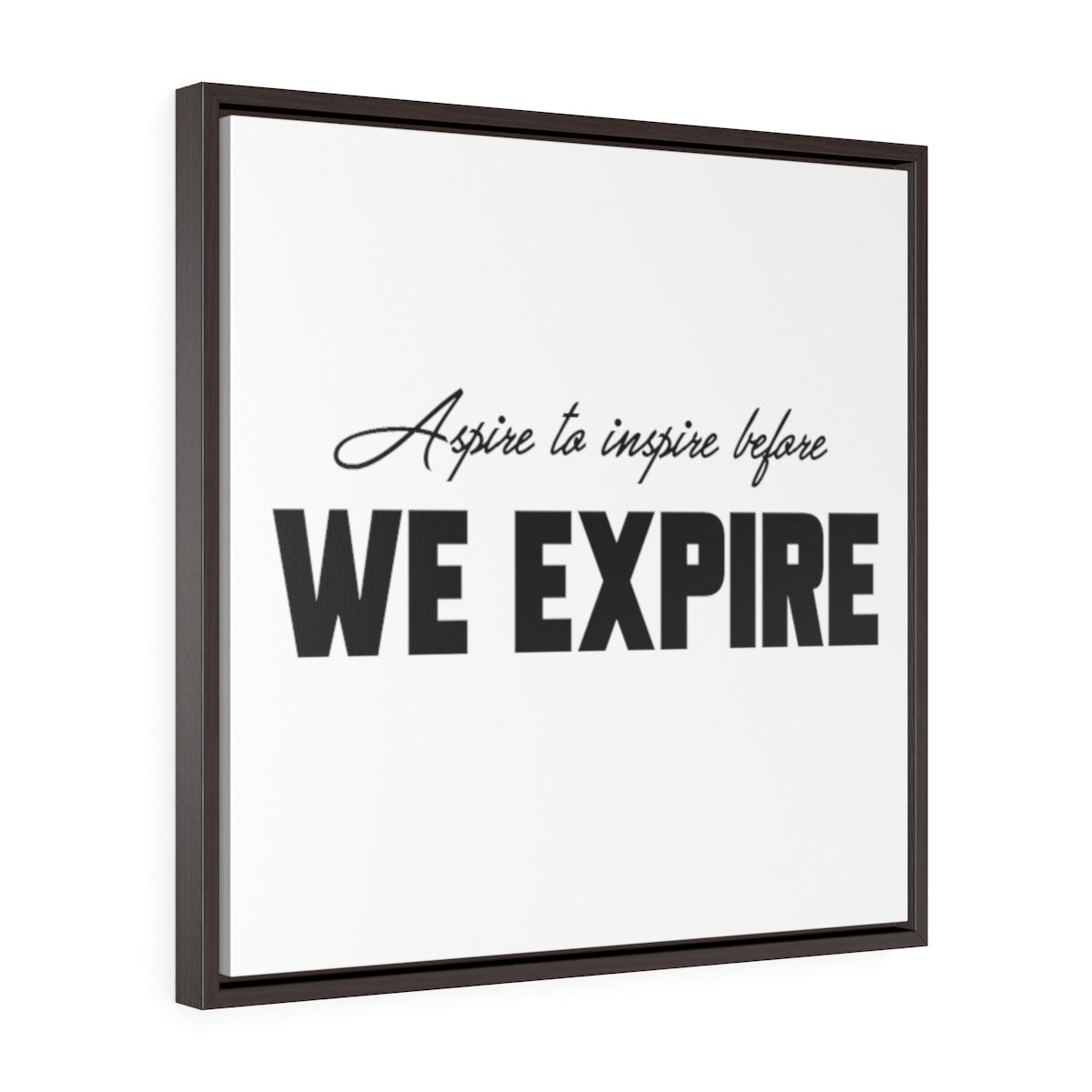 Aspire To Inspire Before We Expire | Framed Gallery Canvas